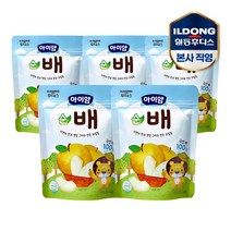 아이얌 동결건조 과일칩 순배 5개