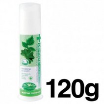 1개 나이트 치약 120g 덴티스테 펌프형 타임, 1