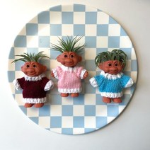 트롤화분 트롤식물 트롤 이오난사 공기정화식물 인테리어식물 집들이선물 집들이식물, 버건디