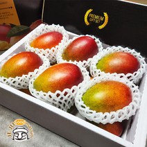 서귀포 현가원 애플망고 3kg (선물용 7-8과 실중량), 단품