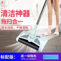전기 빗자루 청소기 핸드 푸시 스위퍼 화장실 욕실 바닥 스크러버 기계 가정용 제품 DI50SZ, 02 style1