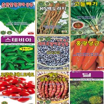 상추 배추 쌈채소 씨앗 토마토 씨앗 오이 씨앗 여주 박 호박 씨앗 무 씨앗 시금치 부추 파 당근 씨앗 기타 채소 갓 씨앗 민속채소 씨앗 콩 잡곡 씨앗 허브 씨앗, 보양작두콩 10립 KS종묘, 1개