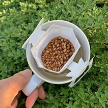 약방집손녀딸 한잔용 국산 볶은 보리차티백 곡차1호, 340g, 2개, 2개