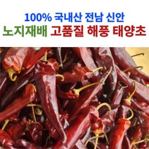 산지직송 전남 신안 고추 건고추 햇고추 태양초 마른고추 5근 10근 3kg 6kg, 100%태양초고추_3kg