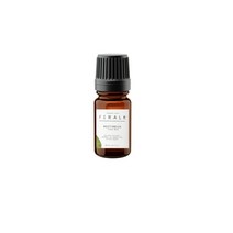 네이처프래그런스 Citronella Essential oil 시트로넬라오일, 1개, 100ml