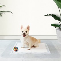 강아지 애견 대형 견 개 실리콘 배변 매트 패드 판, 소형 (60 x 100cm)