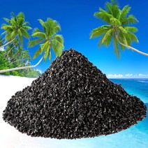 에코라이프 ECO 야자 활성탄 실내 탈취제, 1개, 3kg