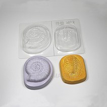 화석만들기[5인](암모나이트삼엽충)