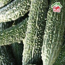 [푸드빌리지] 여주 볶음 여주차 건여주 생여주 무농약인증, 건여주 150g+150g