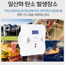 펜션 민박 캠핑카 텐트 실내 일산화탄소 경보기 휴대용 co2 가스 연기 감지기 안전장치