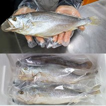 반건조 제수용 조기 10마리 (대 27~29cm) / 제수용 부세 조기 목포 제수용생선, 부세 조기 10마리