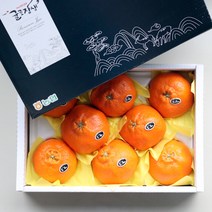 [산지에서바로] 고당도 제주 레드향 프리미엄 선물세트, [보자기포장] 레드향 3kg 대과 (9-11과)