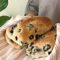 용산맛집 수제 베이커리 치아바타 비건 치아바타 비건빵 1개입, 할라피뇨 치아바타, 1개