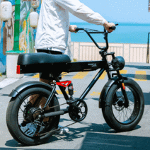 파사르마트 고성능 전기자전거, 48V12A리튬(48km주행거리)