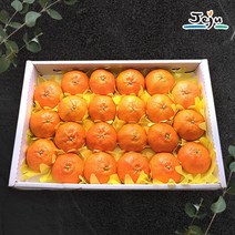 (롯데백화점)(올찬) 레드향 선물세트(대/중) 3kg(14-19과) / 제주직송