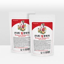 오늘부터 선녀티 팥호박차, 30g, 20개입, 2개