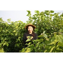 [로컬푸드] 오디농부가 직접 만드는 저당도 수제오디잼 250g, 1개