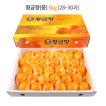제주 황금향 선물세트 5kg (중과) 28-30과 / 하우스 노지 고당도 귤 감귤 밀감 레드향 천혜향 카라향 청귤 수라향 신비향 가정용 추석 명절 설 감사 은사 선물 조생 타이벡, 5kg (중) 28-30과