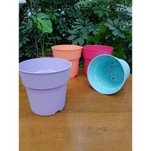 제라늄 화분 네덜란드 컬러 화분) 플라스틱 화분 4가지 색상 3.2리터, 딥핑크