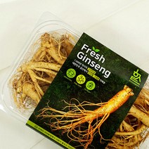 한국고려인삼 삼계탕인삼 세척인삼 양삼 생인삼 백삼 인삼한채 인삼1채 고려인삼 인삼세척 인삼한뿌리, 무료세척