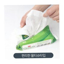 가정집 전기난로청소 항균소독물티슈 80매 2p 강아지 세정물티슈 살균 항균물티슈 손소독 살균티슈 향균, 3M살균티슈 80매 2개