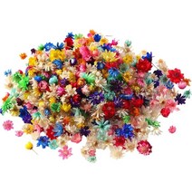 1 상자 말린 꽃 UV 수지 장식 자연 건조 꽃 스티커 데 칼 에폭시 금형 DIY 작성 공예 보석 액세서리 만들기, 02 100Pcs Deep Color