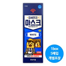동화약품 미세먼지 마스크 대형 화이트 5매입(개별포장), 1개, 5매입