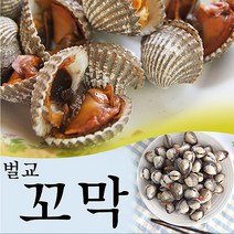 보성 벌교여자만 새꼬막 1.5kg (기본)/산지직송, 단품