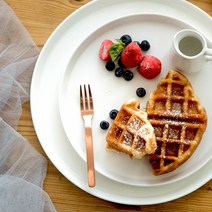 대형 원형 접시 6종 도자기 스테이크 피자 돈까스 브런치 디저트 플레이팅 플레이트 그릇