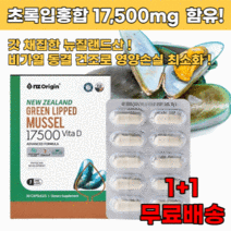 뉴질랜드 초록입홍합 정 캡슐 1+1, 2+2