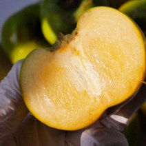 태추감 배단감 창원단감 햇단감 태추단감, 2kg(7~9과내외)
