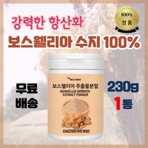 인도산 BOSWELLIA SERRATA EXTRACT POWDER 보스웰리아추출분말 사막의 진주 항산화제 피부관리 가래제거 면역력 강화, 1통 230g (33%할인)
