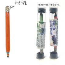 씨앗연필 화분 식물연필 판촉물 답례품 선물용 초등 학생선물 입학준비물 스케치