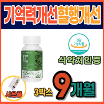 깜빡할때 뇌질환 기억력 개선 두뇌건강 영양제 뇌에좋은음식 고함량 식약처 인증 미국산 은행잎 플라보놀 최대 섭취량 징코 미국직수입 치매 약 3개월분 하지정맥 다리 혈액순환 혈행, 3통, 사은품증정, 90정