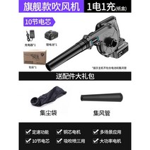 고출력 무선 낙엽 청소기 송풍기 제설기 휴대용 충전 브로워 블로워 눈치우는기계, 보급형 배터리1