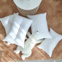 철스몰 베개솜 경추베개 국산 지퍼형 40x60 50x70, 일반베개솜, 1개