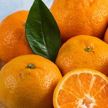 국산 특급 제주도귤 4kg 청 만들기 조생 노지, 선택상품선택