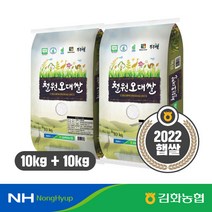 농협 김화농협 철원오대쌀 10kg*2포, 1