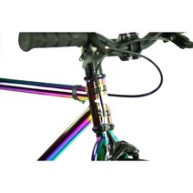 픽시 자전거 Golden Cycles 700c 싱글 스피드 시티 바이크 41 45 48 52 55 59 63cm 오일 슬릭, 55cm