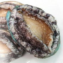 완도 진짜전복 전복제철 생전복 완도전복직거래 완도전복마을, 1박스, 1k 중14-15미