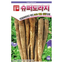 아시아종묘 슈퍼도라지 씨앗 6g