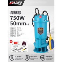 워터펌프 잠수형 수중 모터 양수 관개 전지 워터 펌핑 220V 380V 잠수정, T 750W 플로트 하수 펌프 2 인치 전압 220v