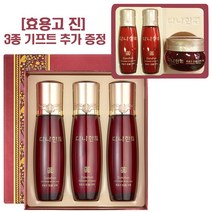 다나한 효용고 진 2종 특별기획세트(스킨2개+로션1개) +3종기프트세트 추가 증정