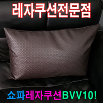 쇼파쿠션BVV10쇼파쿠션쿠션50cmX70cm레자쇼파쿠션 W77A061제리, 본상품선택