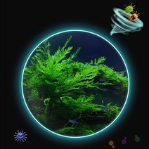 이산화탄소경보기 공기측정 co2감지수족관 CO2 태블릿 이산화탄소 물고기 디퓨저 번성 식물 드롭 배송, 한개옵션0