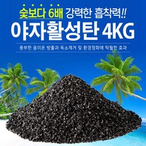 지니컴퍼니 1등급 야자활성탄, 4kg, 1개
