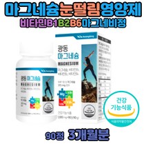 마그네슘효능 눈떨림 원인 액티브 맥스 권장량 신경 근육 파워 보충 영양제 마그네슘 비타민B6 B1 B2 산화마그네슘 제제 마그네시움 40대 50대 60대 눈꺼풀 눈밑 손이저린 이유 아세틸콜린의분해감소 긴장이완 마그네슘영양제 눈꺼풀떨림의원인