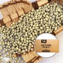 기타 아우레이트 건포도 요거트 초콜릿 1kg 10개입 [박스]