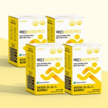 맛있는 비타민B 영양제 액티바이타믹스 어린이 청소년 4개월분, 액티바이타믹스 4BOX (4개월분), 4개