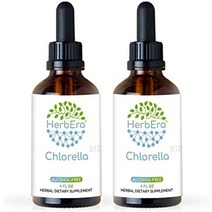 b60 무알코올 허브 추출물 팅크 농축 액적 천연 (chlorella vulgaris) 건조 전체 식물(2 fl oz), 4fl oz(2팩)